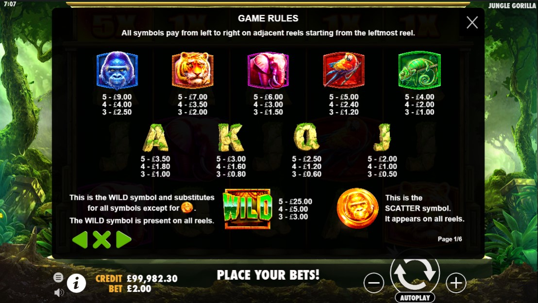 Gorilla Slots Symbols